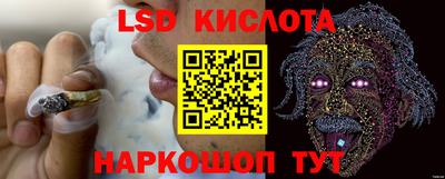 спиды Сланцы