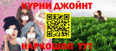 дмт Славгород