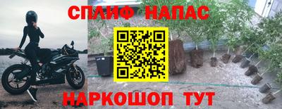 PSILOCYBIN Ставрополь