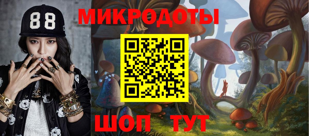 Галлюциногенные грибы мухоморы  Вход с VPN  Галлюциногенные грибы Psilocybine cubensis  Новочебоксарск 