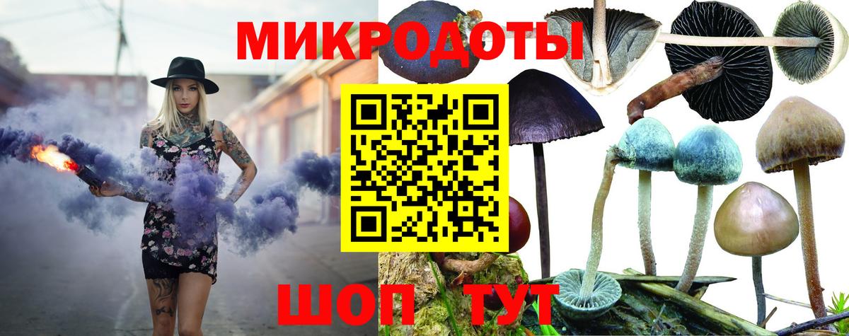 Галлюциногенные грибы GOLDEN TEACHER Новочебоксарск